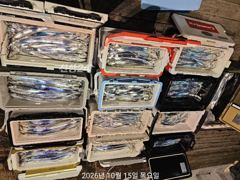 [진해] 고기는 많고 씨알은 깡패급! 내만갈치 대박 예약가능