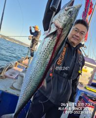 [경주] 씨스타호 대삼치 피딩 타임 제대로 손맛