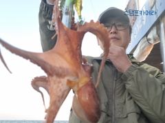 <뉴오리온호> 문어 종일 마무리 조황(15일)-황제낚시 하고 입항했습니다