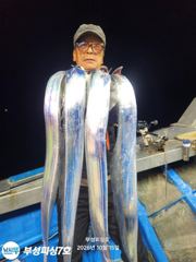 [부성피싱]왕칼치 초.전.박.살 3지4지급 대치 폭풍입질 올해역대급...전원만쿨 초대박조황 사진