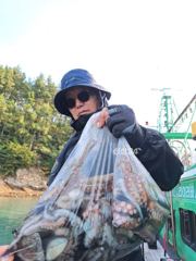 10.15 문어 조황입니다
