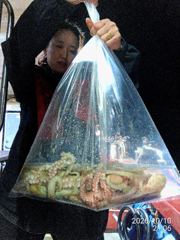돌문어사냥 레전드호타고 대박조황 고고!