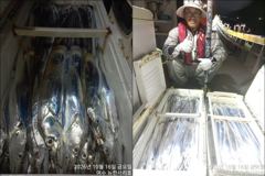 목감낚시 갈치 조황입니다!