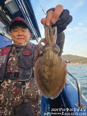 [군산아시아호] 갑오징어 대박 실시간 10/16