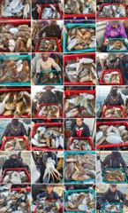 [먹물조황]라온호10월16일갑오징어출조