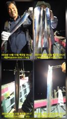 대양호 선상낚시 조황