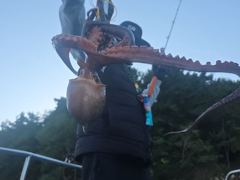 주,야간돌문어k급장원24수외살림망묵~직