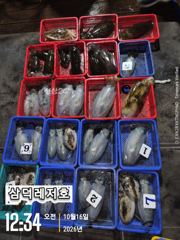 [팁런]k.와전무시급들(토요일 출항확정.자리여유)