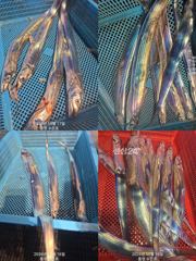 통영 수 은 호<<>>갈치 잘 올라옵니다 19일20일(월.화) 자리여유 있습니다 예약하실때 자리 선택하세요 3361 4231 전화주세요