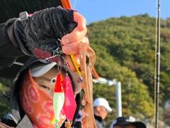 (실시간)문어 구덩이 500g 이상 쏟아지는 中 고고써니호(19…