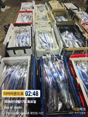 [진해] 내만갈치 3,4지 만쿨대박히트! 긴급3자리! 전화주세요~ 사진