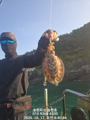 통영 송현호))킬로오버 킬로급 돌문어 마구 마구 진행중~