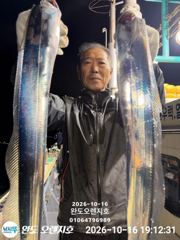 완도오렌지호//3지4지전원만쿨입니다 사진