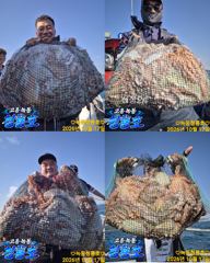 <고흥녹동> 청룡호 17일 돌문어 대박조황 소식!!!