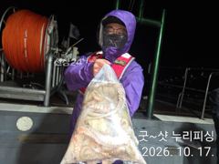 야간도 전투다 긴밤 찐하게 !!!삼천포누리피싱