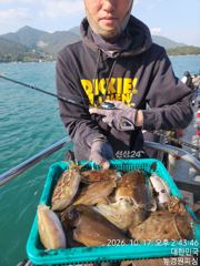 오늘 갑오징어 철수조황입니다 바람통에도 대포알들이 쭉쭉 올라오네요 월요일부터 예약 가능합니다