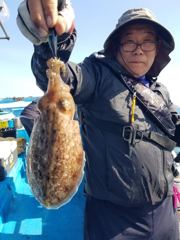 10월 17일 남덕5호 갑오징어 조황 사진