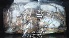 10월17일 에르메스호 갑오징어 굿조황