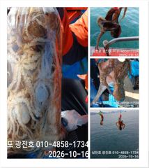 [사천] 왕쭈 장원145수 {선비,할인} 20,21,22,23,쭉~자리여…