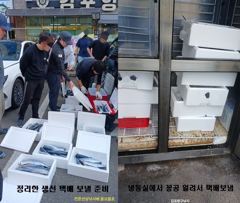 19일 오전10시 대삼치와 방어 출조모집