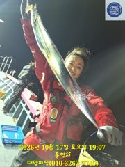 17일 대마꼴 갈치 한치 만쿨