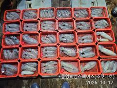 무늬/팁런,,내만권 마릿수,,(월,화 출항확정),,