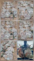 [여수,광양] 돌문어 키로급들로 망태기가득 조화입니다 내일 8자리여유 …