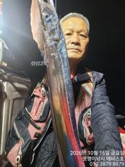 [진해] 준내만갈치~대치들 빠글빠글 완전대박~화요일부터 예약가능합니다