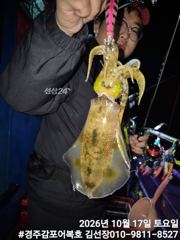 바다기상이 아주좋아서 키로급 무늬들 만나러갑니다.