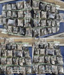 [진해] 쭈꾸미~느나느나~피딩~지퍼팩가득~(예약가능합니다)