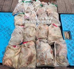 19일, 군산 가을 왕문어 ~덩치급으로 싸이즈 끝내줍니다~망탱이 굿~군산낚시프라자 챔피언호
