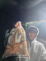 삼천포 문어, 주꾸미 조황!