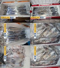14석 통영보성3호 갈치 씨알좋고 만쿨햇습니다~~한치도 좀 했습니다~~채비 챙겨오세요~~오늘 자리 여유 많아요)