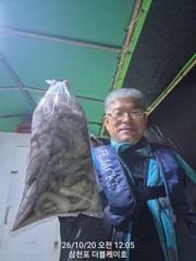 삼천포 문어, 주꾸미 조황!