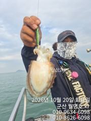 20일 쭈갑 오전반조황