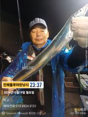 [진해] 준내만갈치)텐빈~오늘 입항조황/한치 (금요일/일요일 예약가능합니…