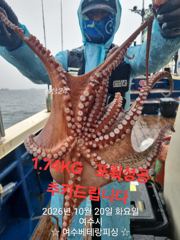 오늘도 대물돌문어 마릿수 초대박 조황입니다 목요일8자리여유 키로급들 우당탕 잘 나옵니다 황금물때 망태기가득 채우러 가실분들 미리미리 연락주세요
