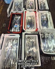 20일,내만갈치 담배갑,폭우에 조기철수에도 많이 잡고 ,오늘출항(화~예약가능)
