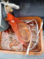 올림피아호 검색