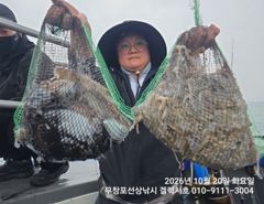 [먹물조황] 10/20 쭈꾸미 갑오징어 조황