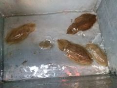 26년10월20일 조황