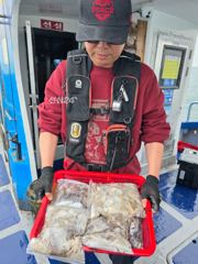 <무 창 포 베 테 랑 피 싱 >[ 가 디 언 호 ] 10월20일 쭈/갑 조황! 하루종일 따박따박!! 싸이즈 좋고 마릿수 좋고!! 목/금 출조합니다!!