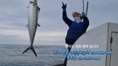 떼고기 구경하세요 , 속초 양양 대선단배낚시
