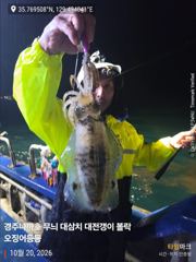 나까호 무늬오징어 조황입니다!