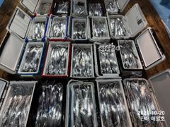 [내만갈치]씨알마릿수 오늘예약가능합니다!! [준내만갈치]최고5지까지~!! 대물들 만쿨퍽퍽!! 금일월화수 쭉 예약가능합니다!