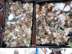 [여수뉴피닉스호] 내일(목) 주꾸미&갑오징어 전투: 5자리여유- 금,토,일,,,,자리많습니다.