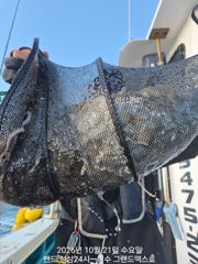 23일부터자리여유~~226수외 200수오바 2분외. 4분외 전원세자리수~~~