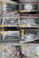 [통영] 14석 보성3호 갈치씨알좋아지고 한치도 많이 나오네요~~금.토.…