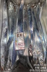 [진해] 내만 갈치~ 3.5지까지~ 씨알최고~ 손맛최고~ 초보가능~ 목금…