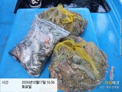 [사천] 삼천포 문어낚시 이번주 토요일 4자리 여유 있습니다!! 사진